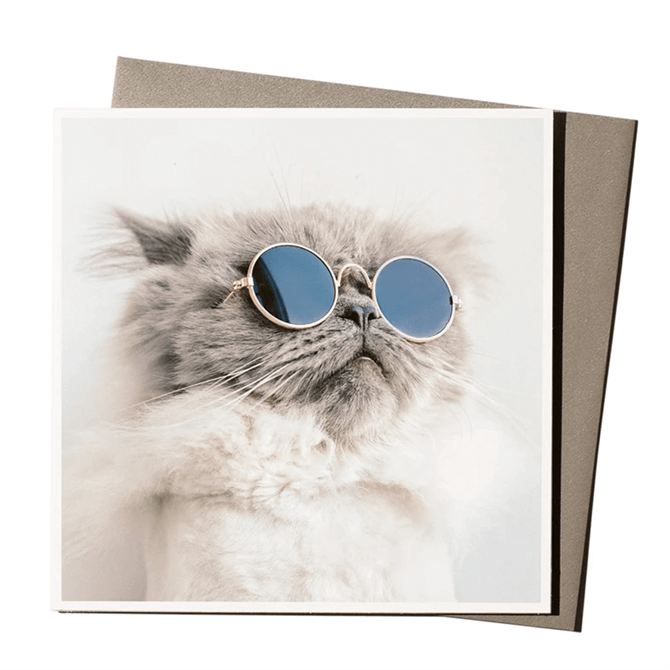 UStudio 1000 Words Fabulous Darling Cat Card